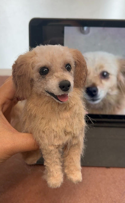 TwistyPaws – Realistic Style (Custom)