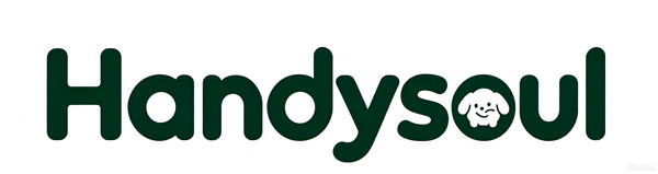 handysoul